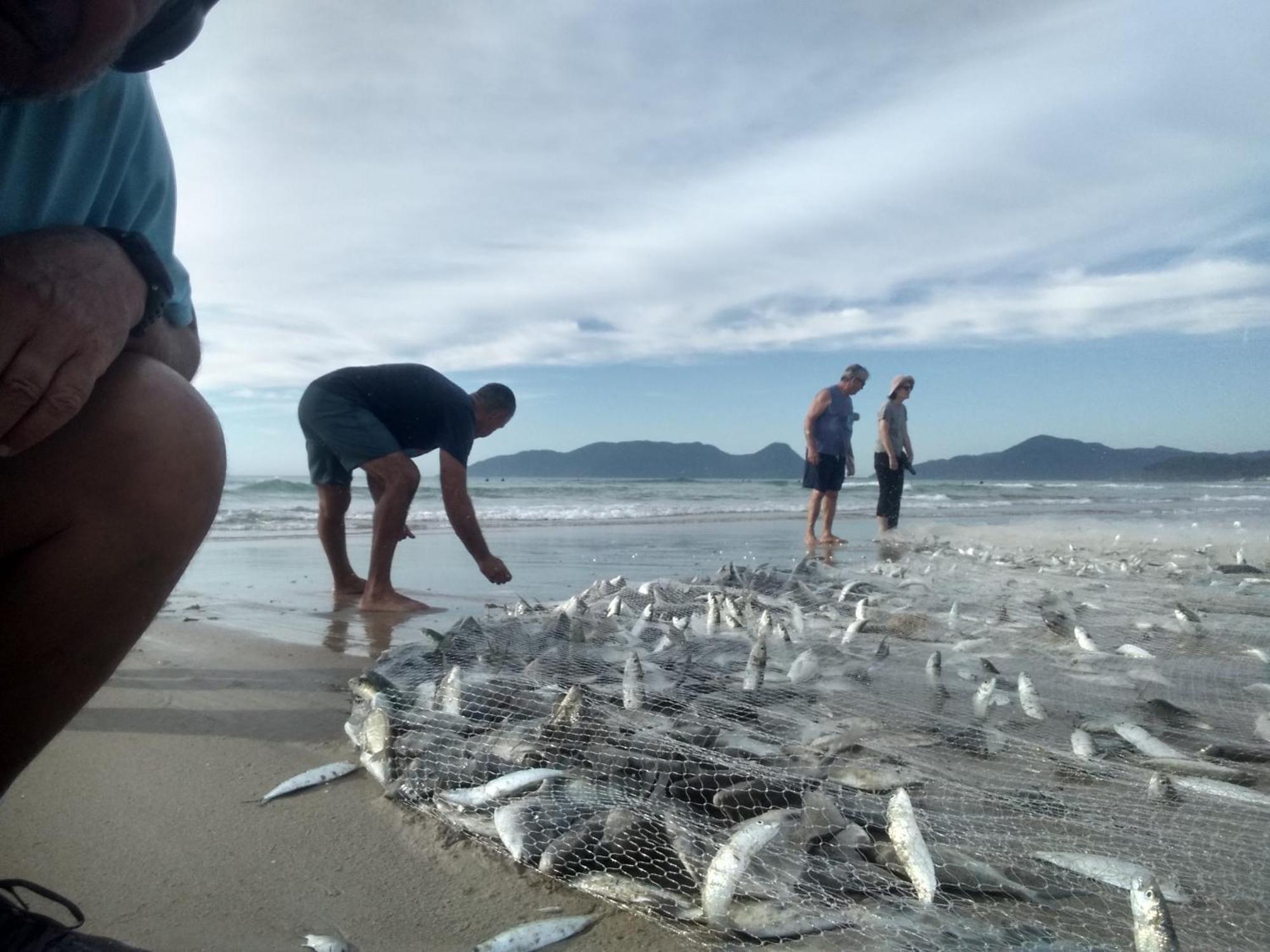 Charmoso E Moderno No Paraiso E Proximo Ao Aeroporto Florianópolis Zewnętrze zdjęcie